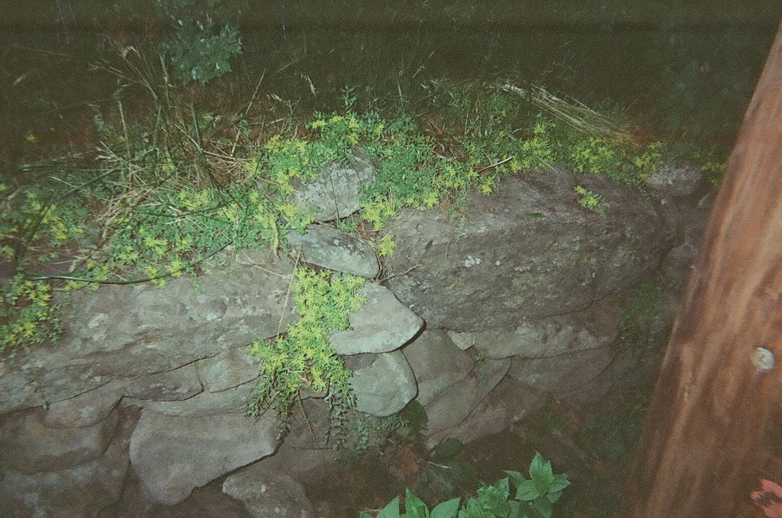 10560018.JPG