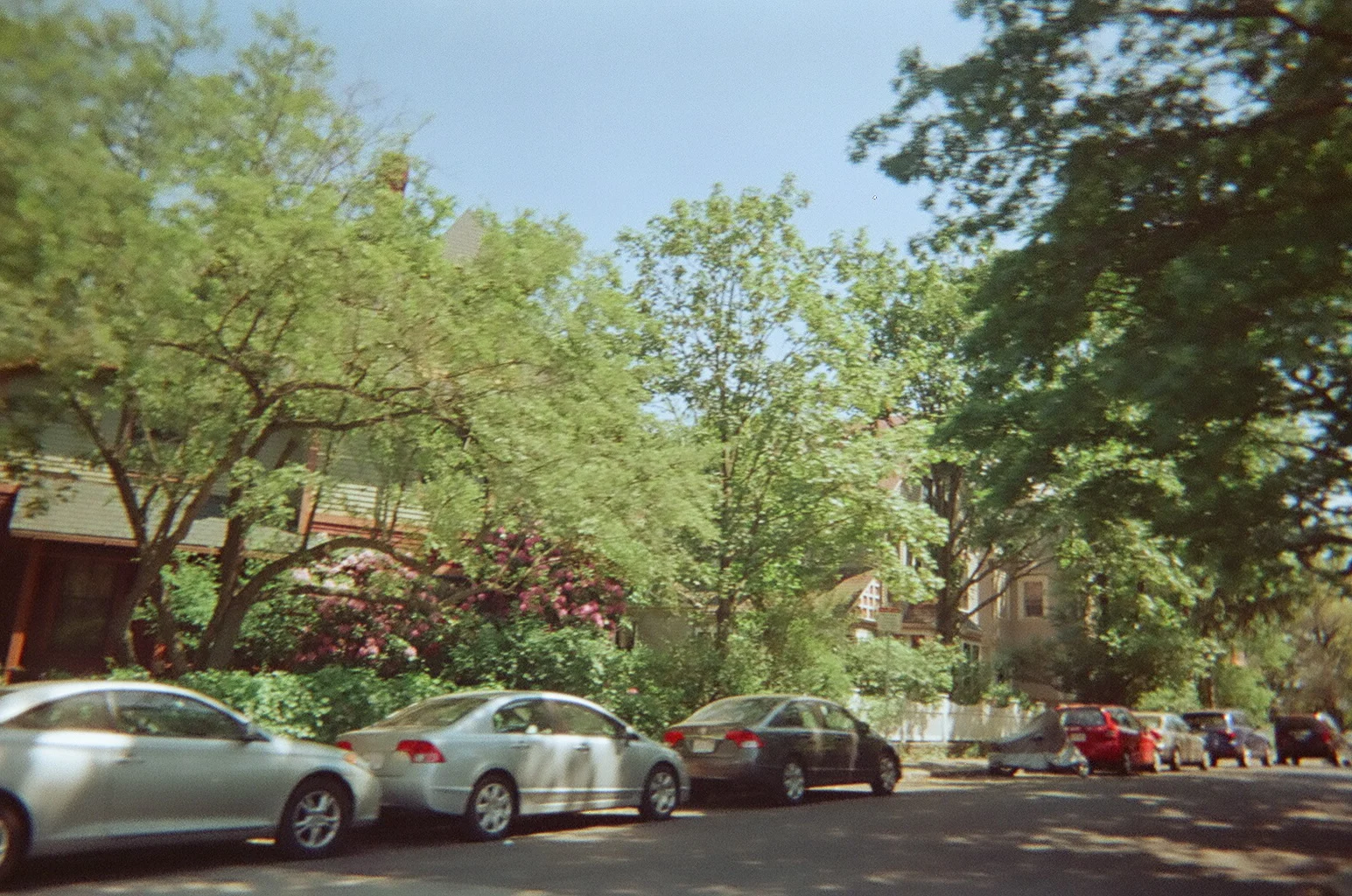 07790007.JPG