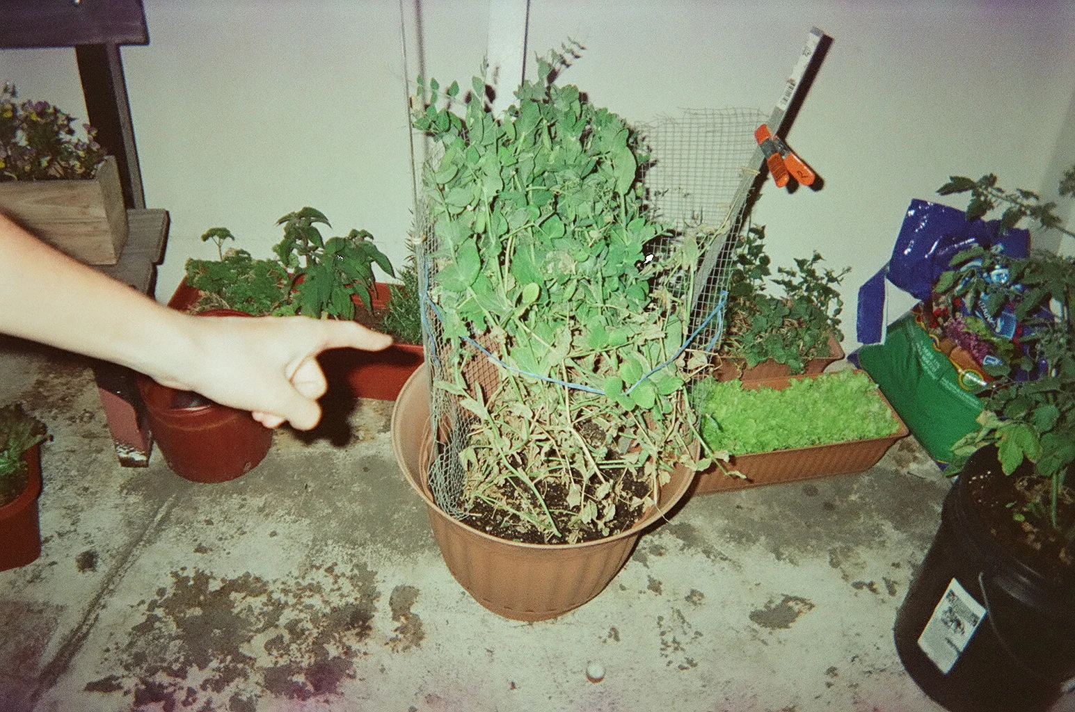08270012.JPG