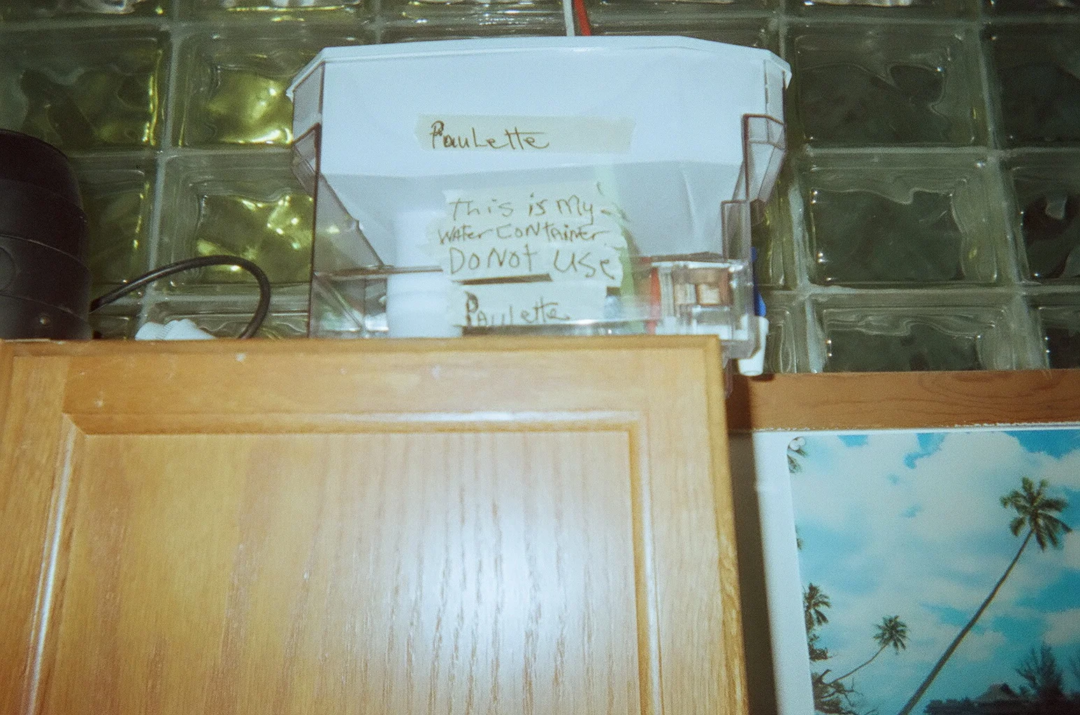 08240017.JPG
