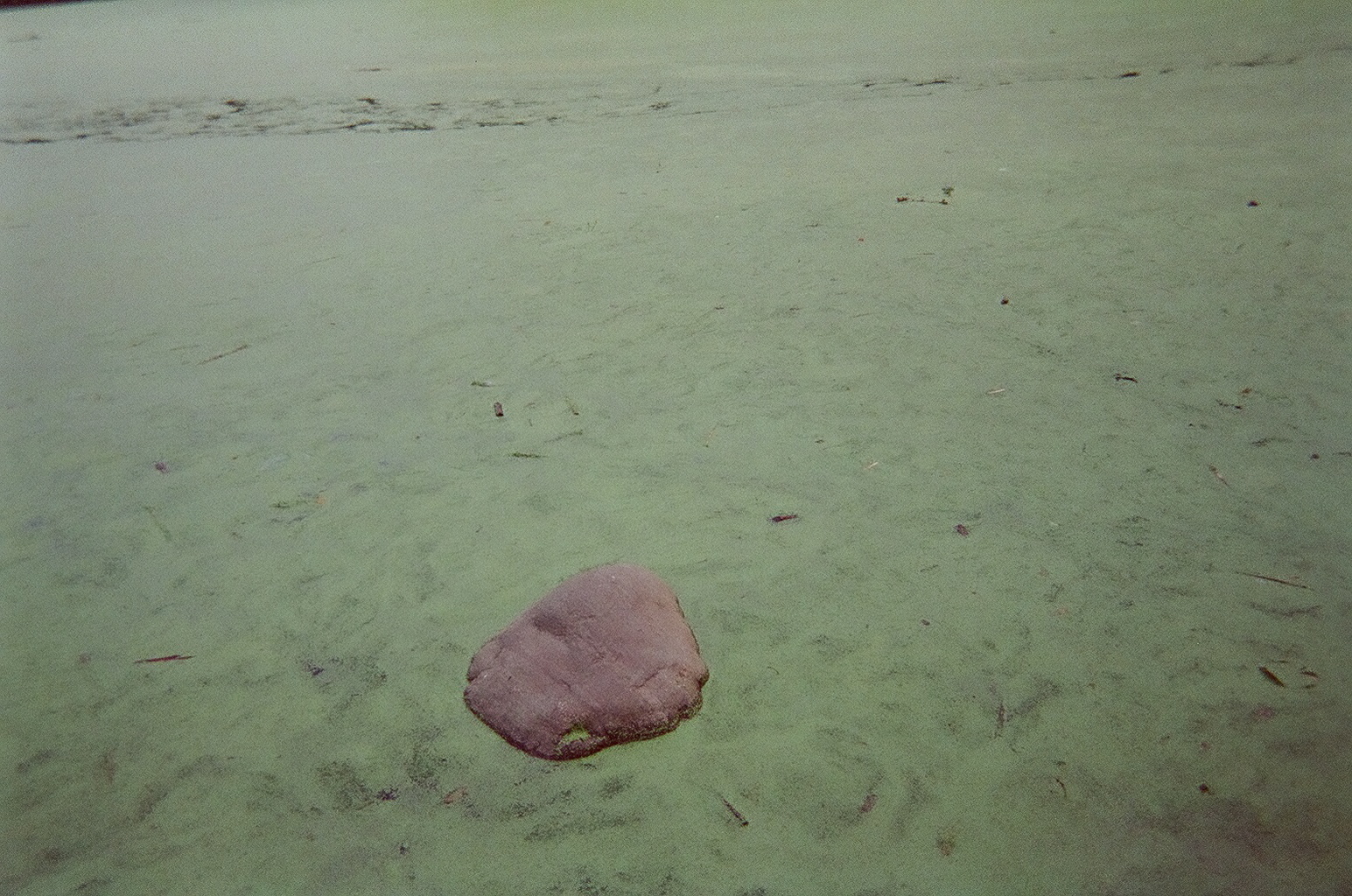 08320014.JPG