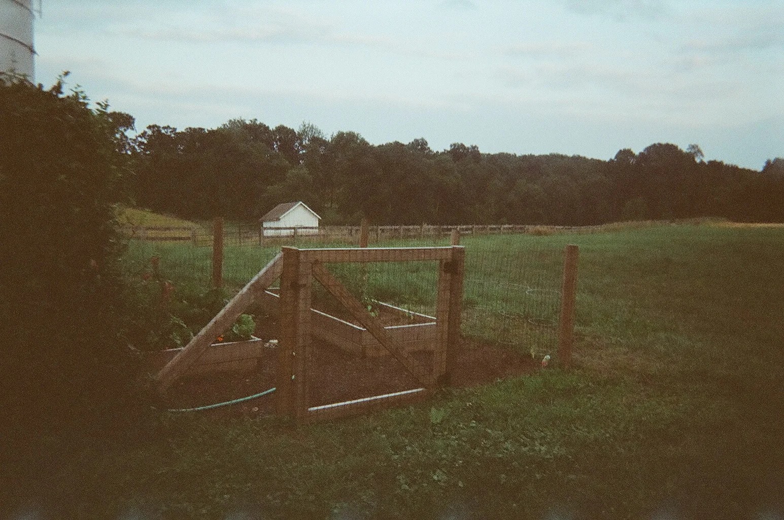 09330009.JPG