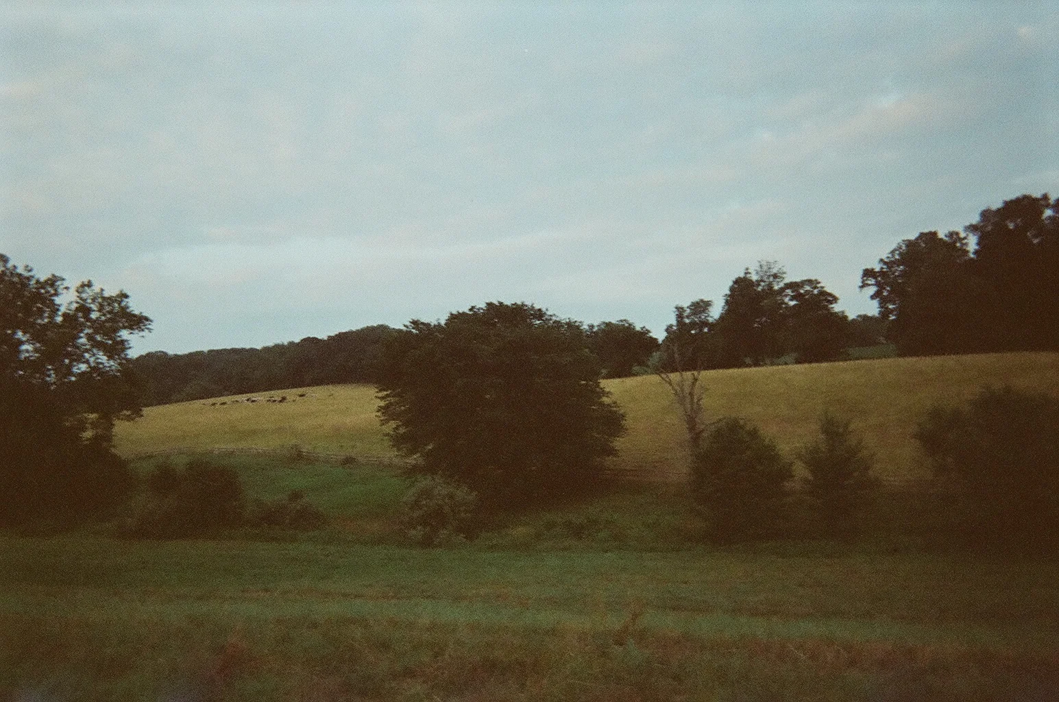 09330010.JPG