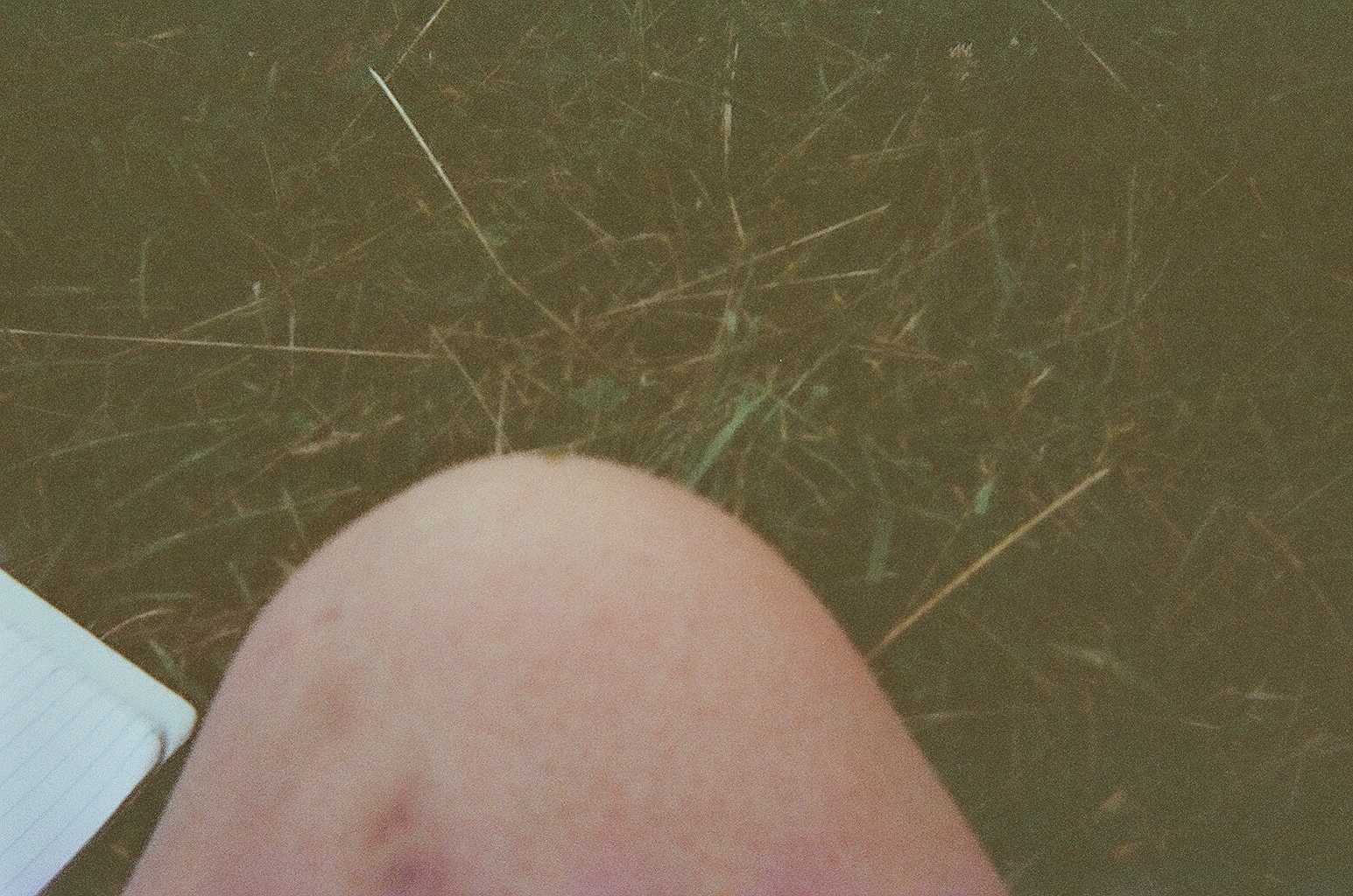 09330012.JPG