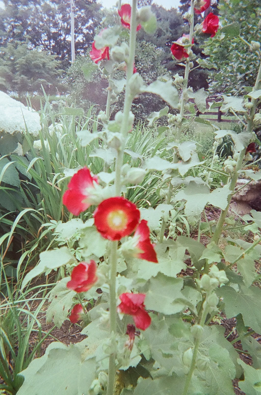 10750001.JPG