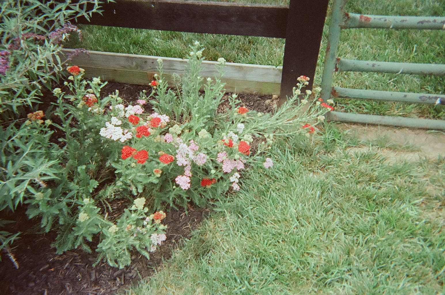 10750005.JPG