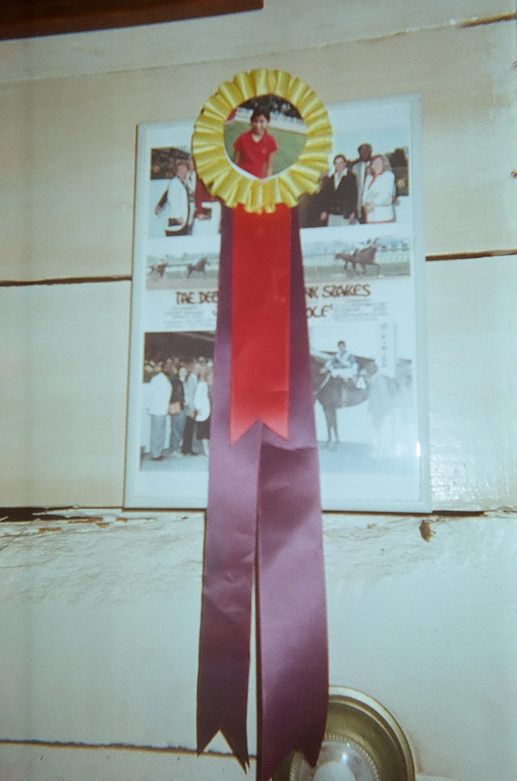 10750013.JPG