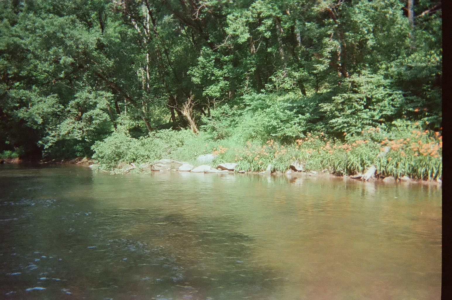 10750023.JPG