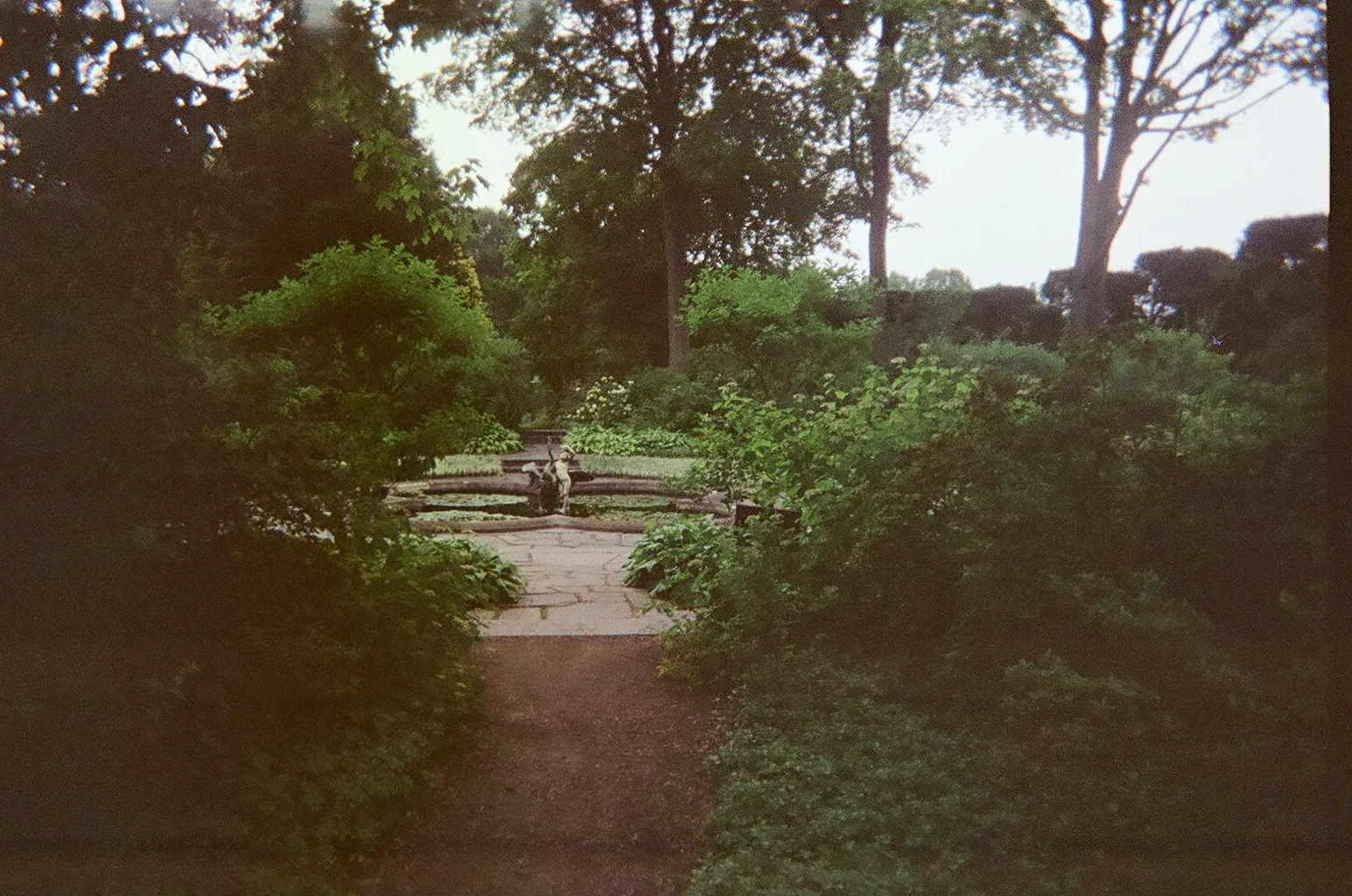 10750024.JPG