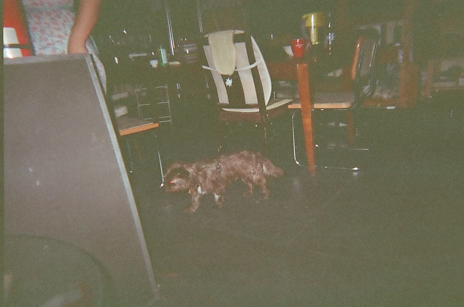 07820008.JPG