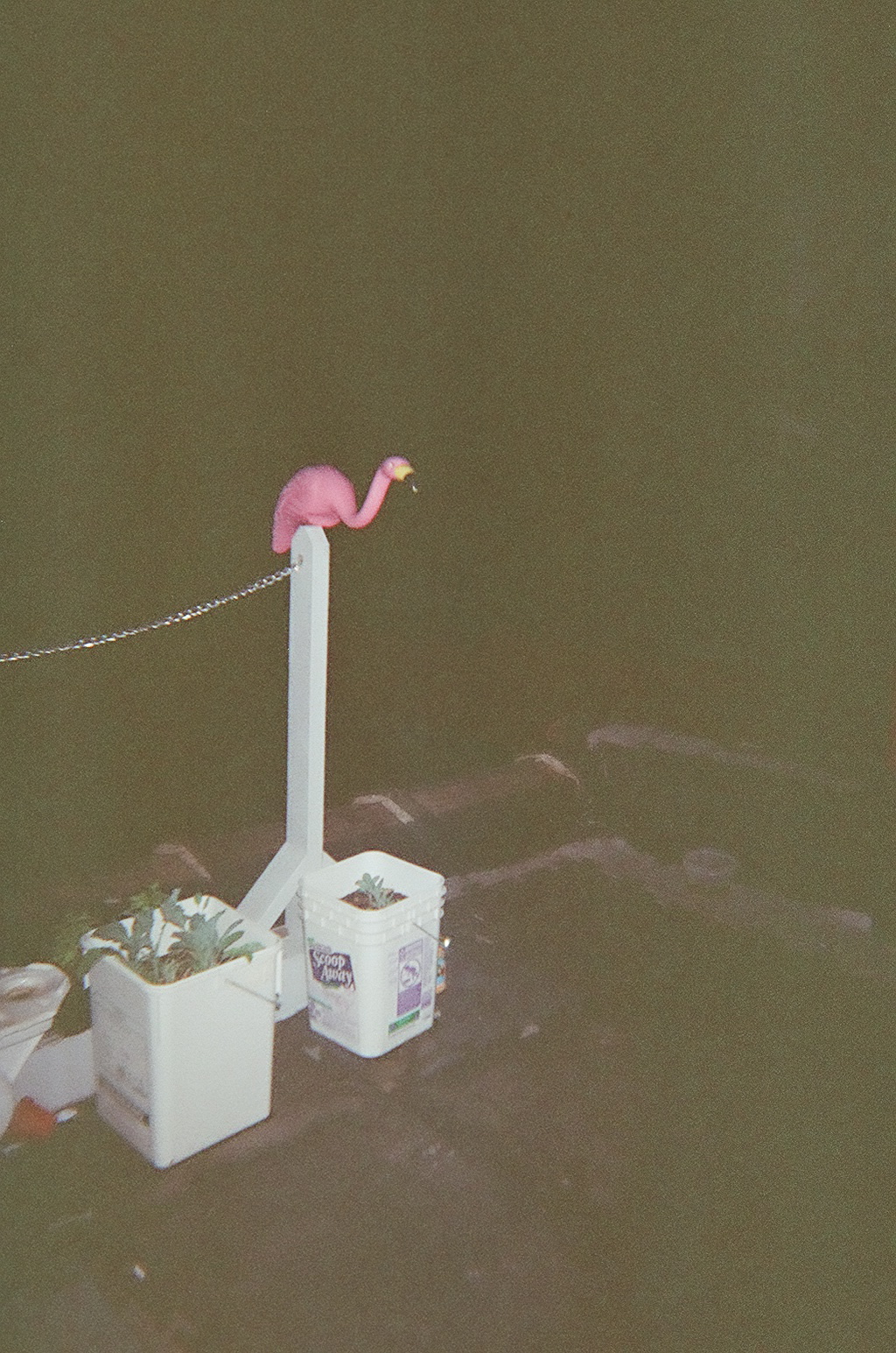 07820015.JPG
