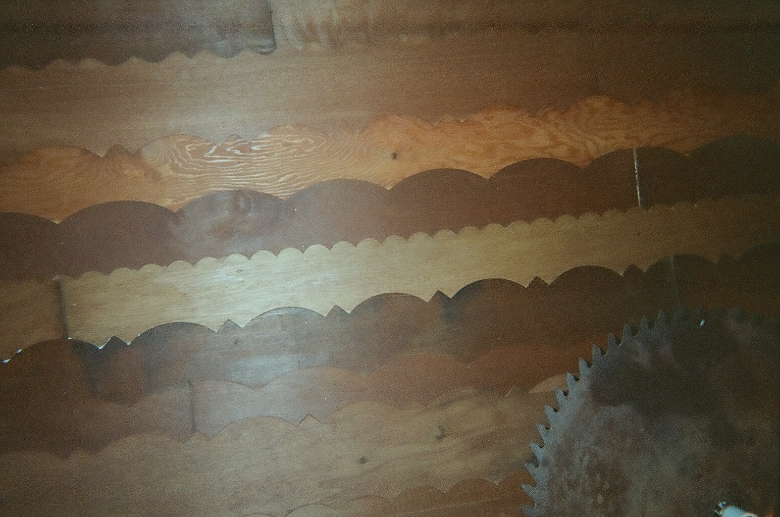 10580007.JPG