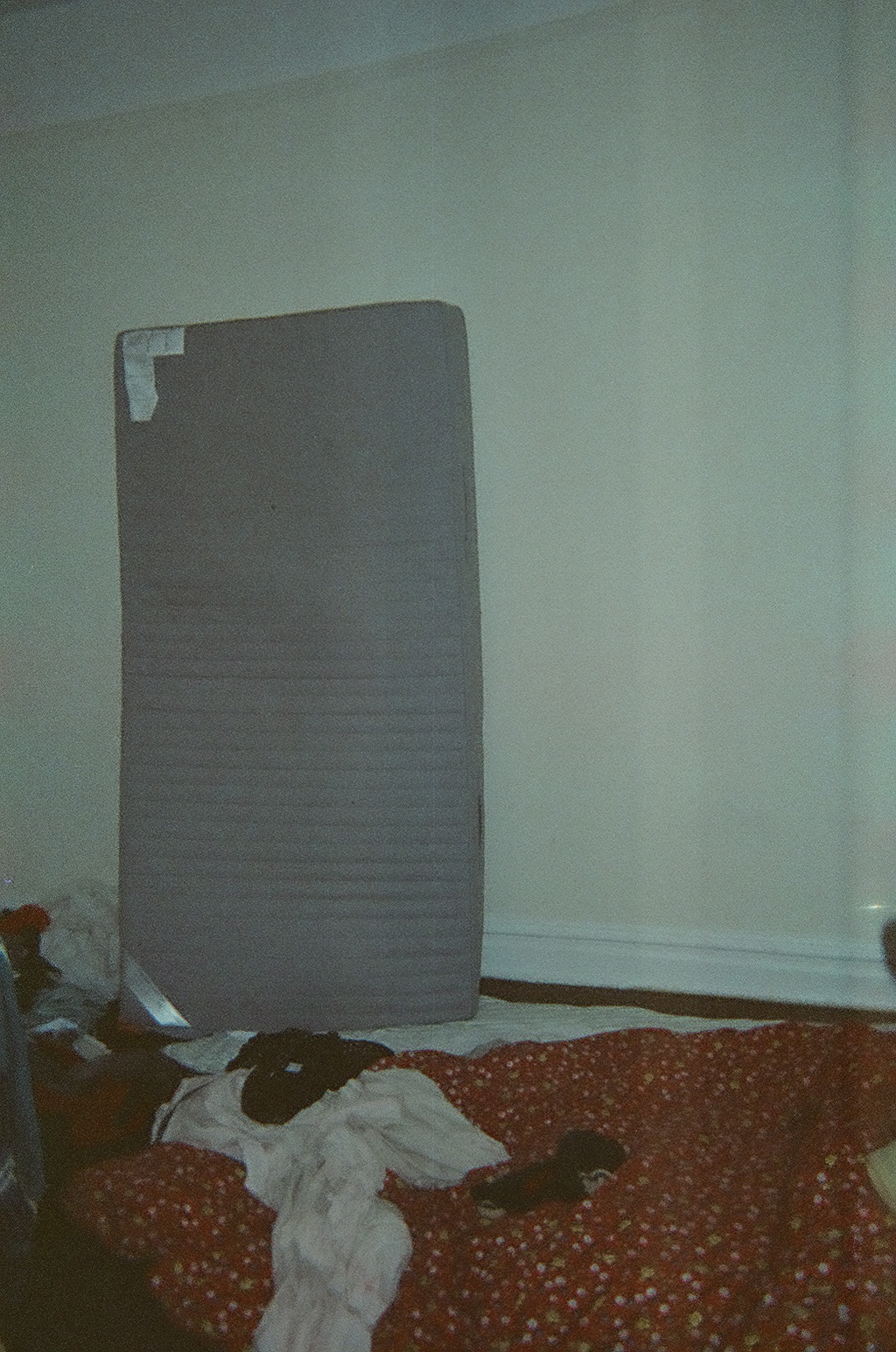 10580011.JPG