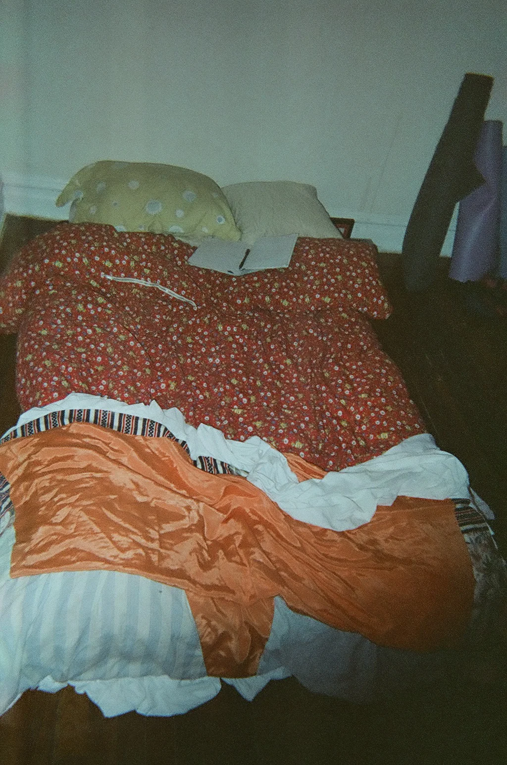 10580012.JPG