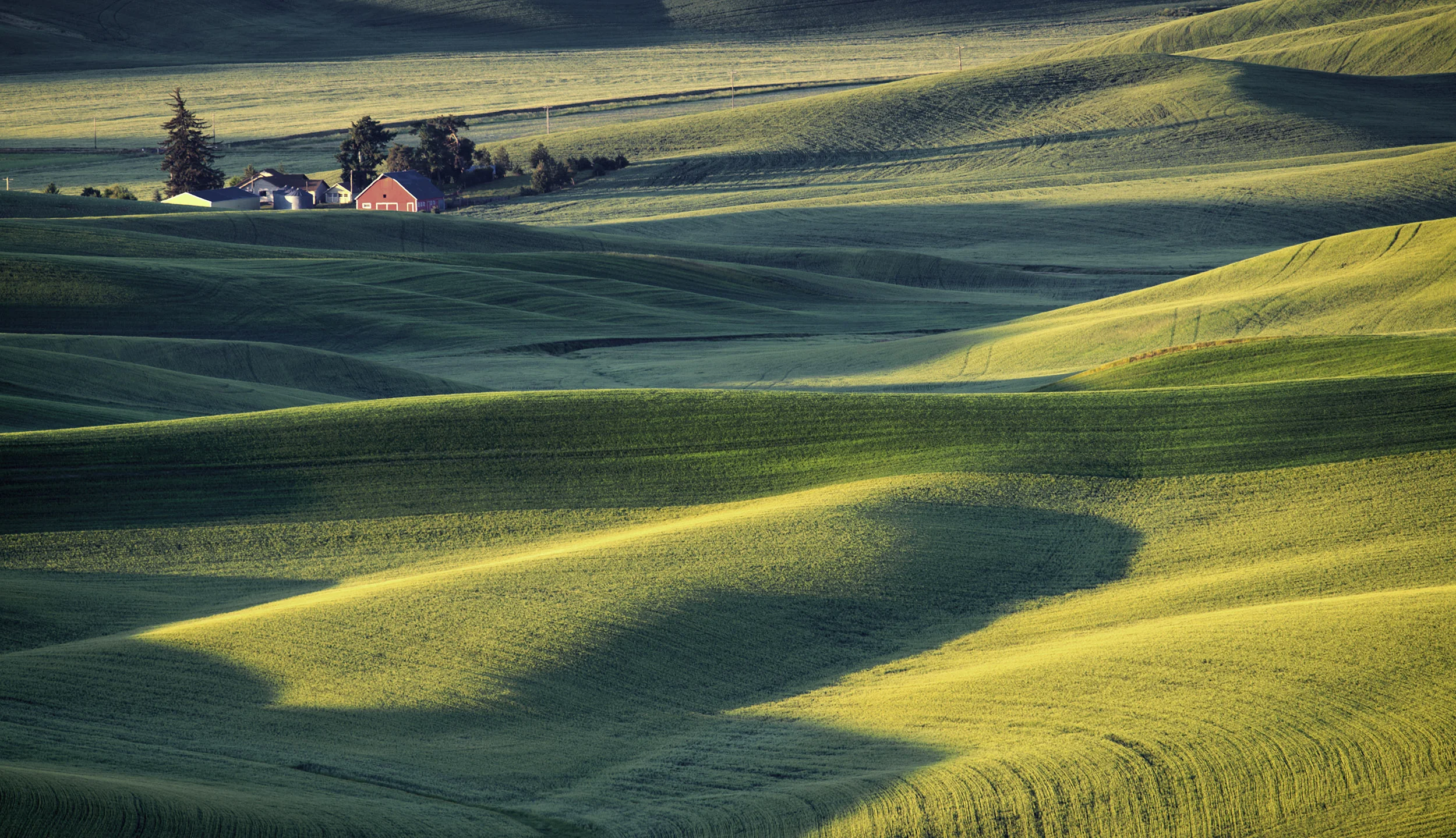 Red Barn, The Palouse