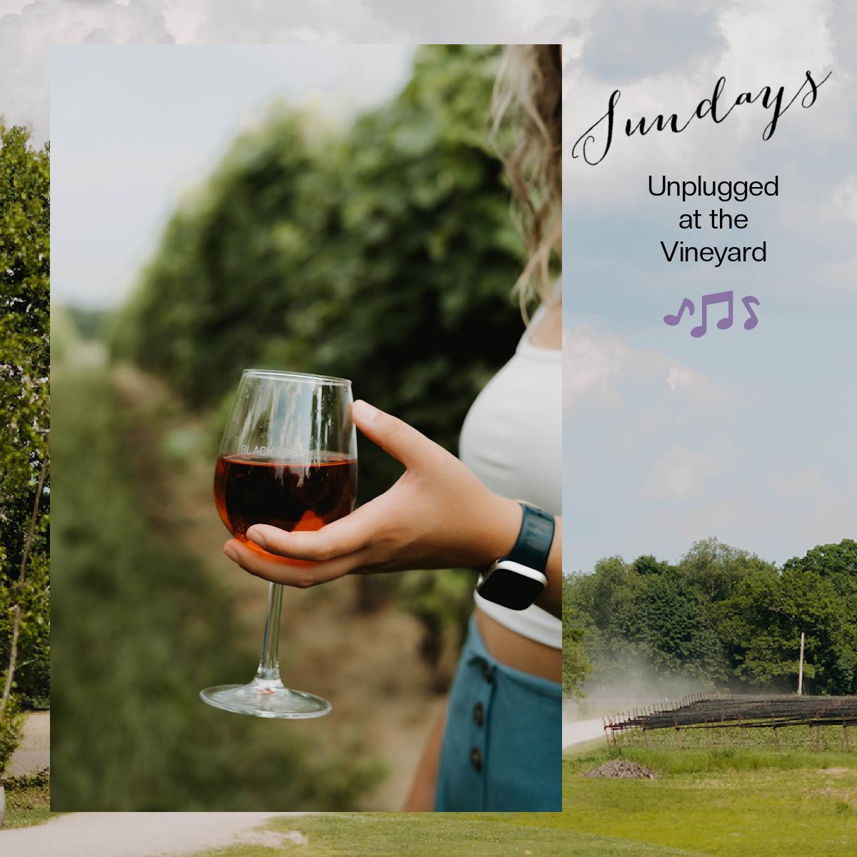Sundays Unplugged at the Vineyard   