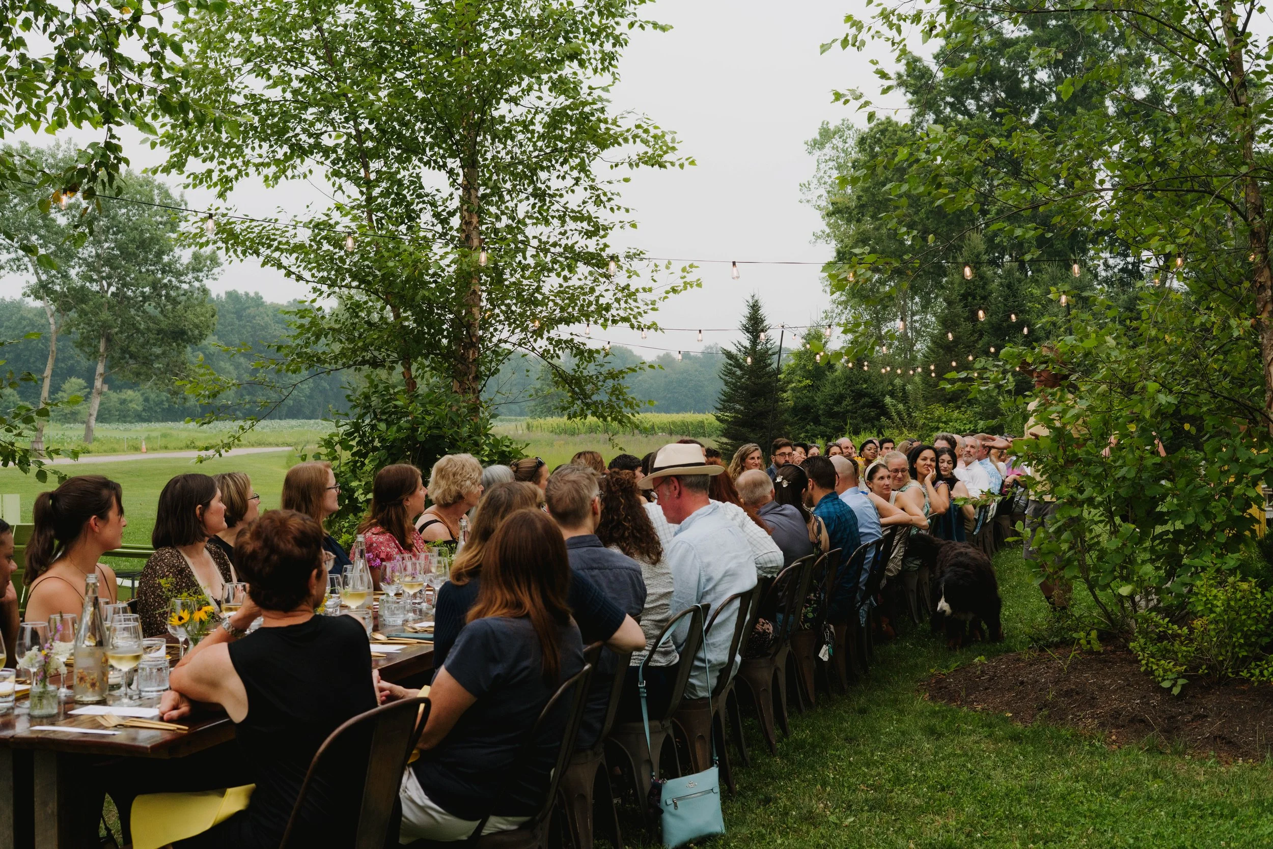 Farm to Table Dinner 