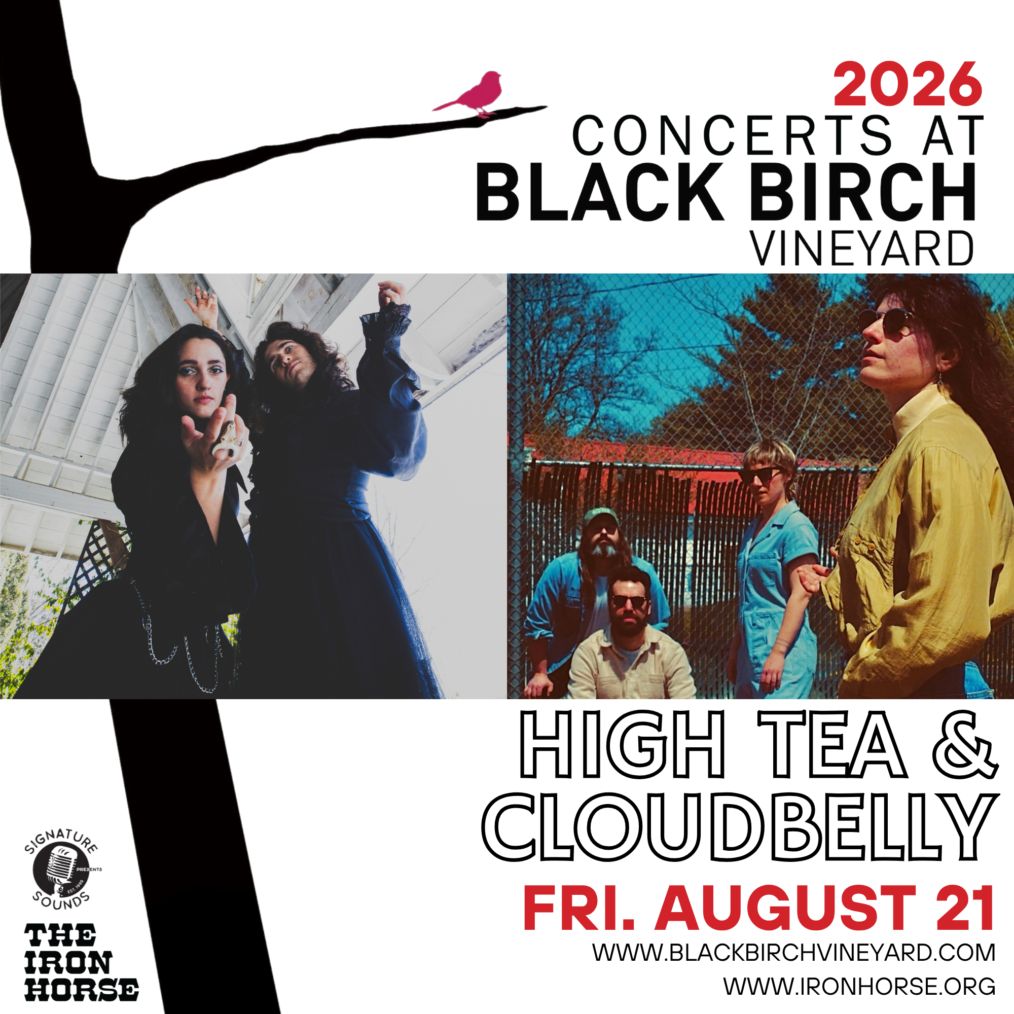 Summer Concert Series: High Tea &amp; Cloudbelly