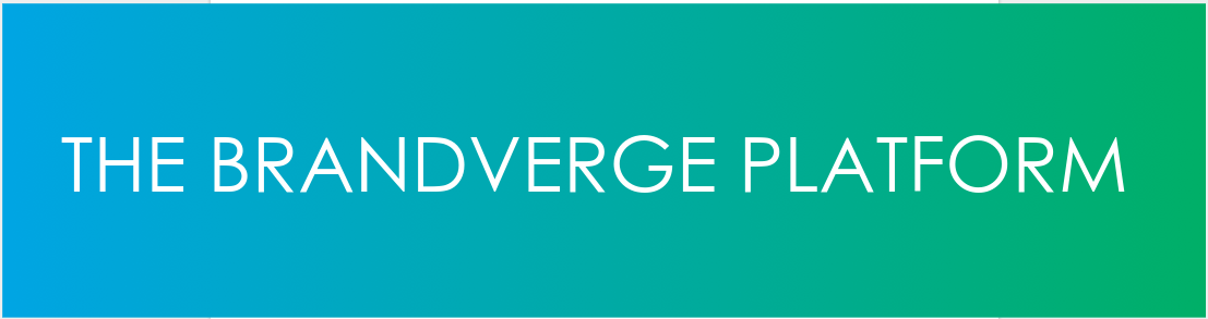 brandverge platform.png