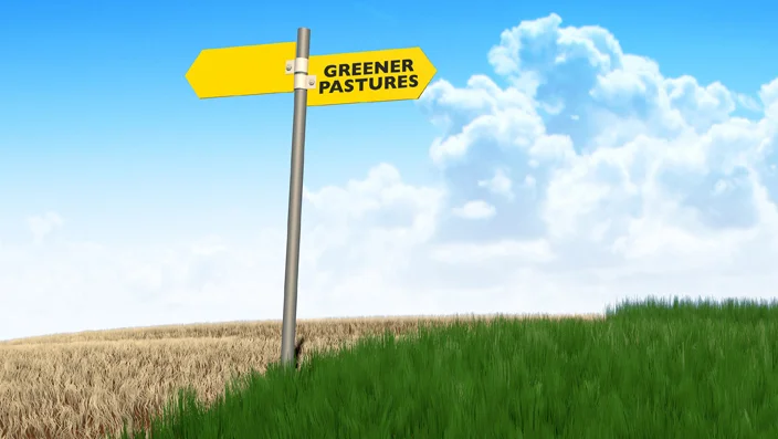 1532694961_rebound-vs-grass-is-greener.jpg