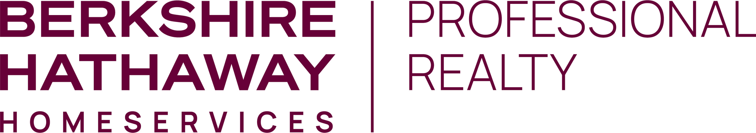 BHHS Pro Realty Logo 2024 OH301_primary_cab png.png