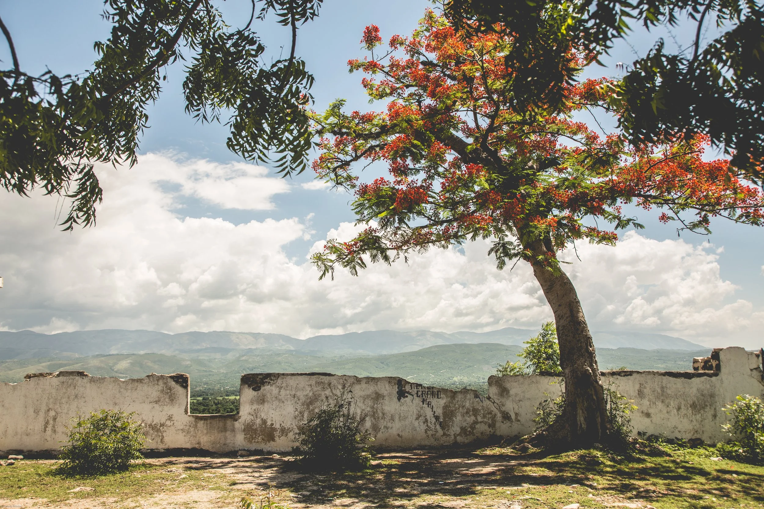haiti_may2017-191.jpg