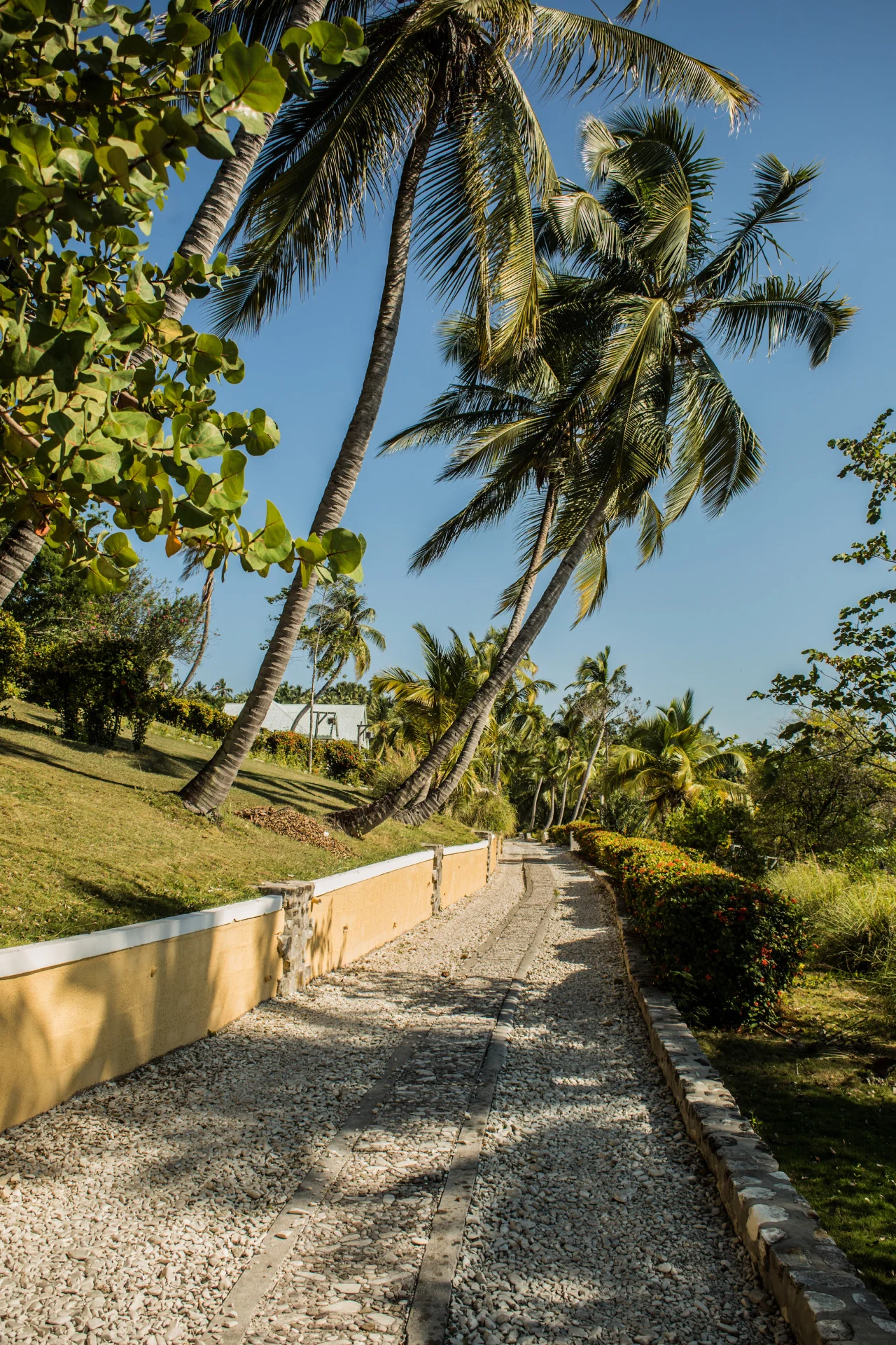 port morgan - île-à-vache, haiti