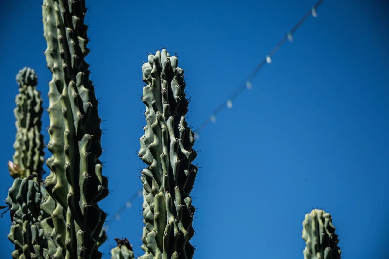 old scottsdale, az