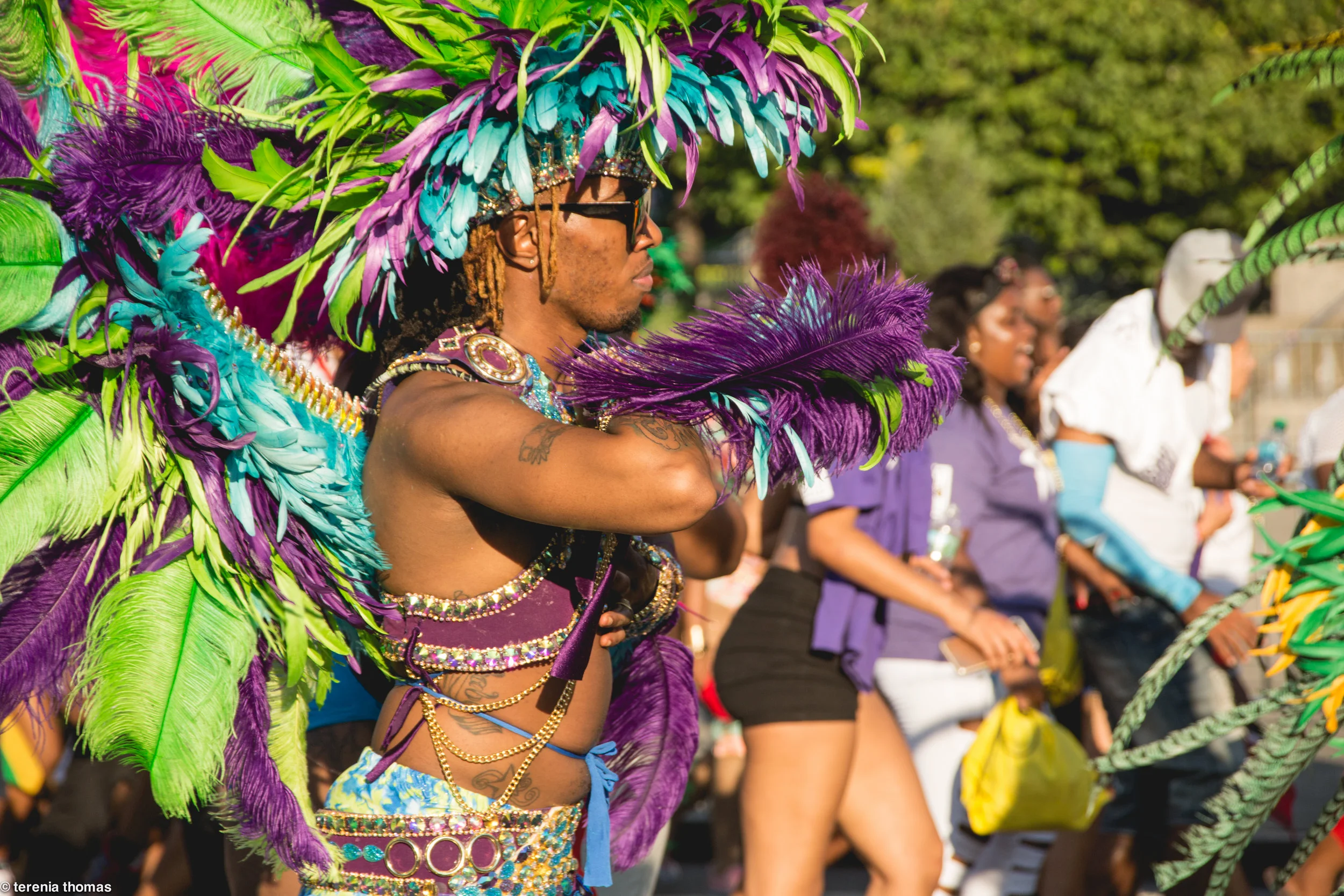 west indian day parade 2017 - brooklyn, ny