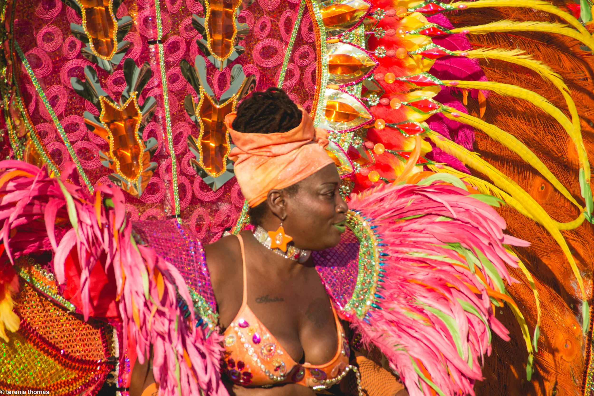 west indian day parade 2017 - brooklyn, ny