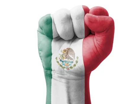 The above image has become very powerful symbol for Mexicans. It is not only a symbol of strength, but also the hand gesture used by rescuers and brigadiers to silence volunteers around collapsed structures to help listen for signs of life. It is a symbol of both expectation and hope, and has helped build a rhetoric of collaboration and community in recent times. Thank you for being a part of it! - Mariel Andrade. Psychologist, Mexico City