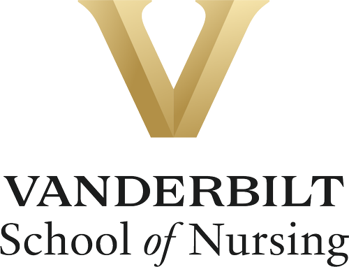 V Centered Nursing