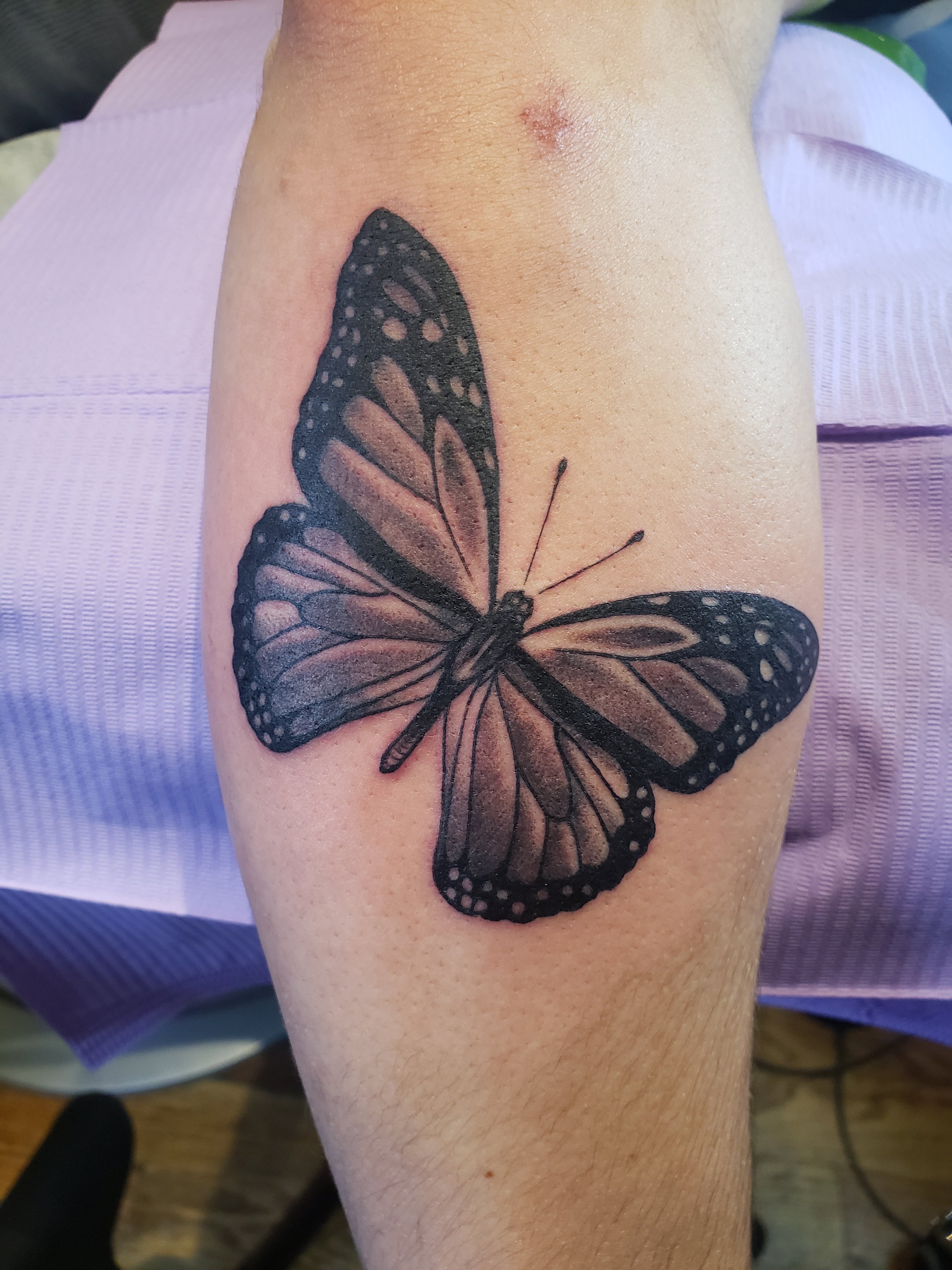 nature-fine-line-black-and-grey-shadding-tattoo-candice-bradley-crested-butte-colorado-calico-queen-tattoo-walk-in.jpeg