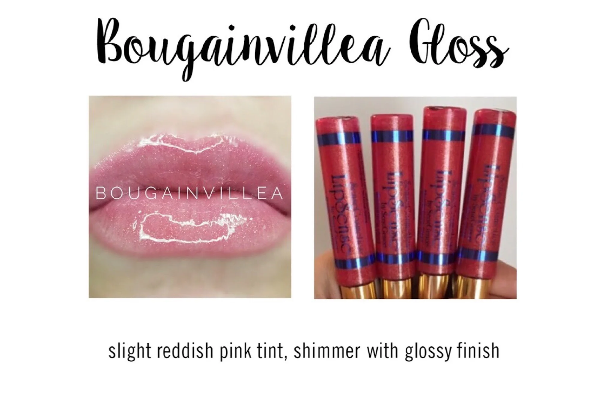 Bougainvillea Gloss