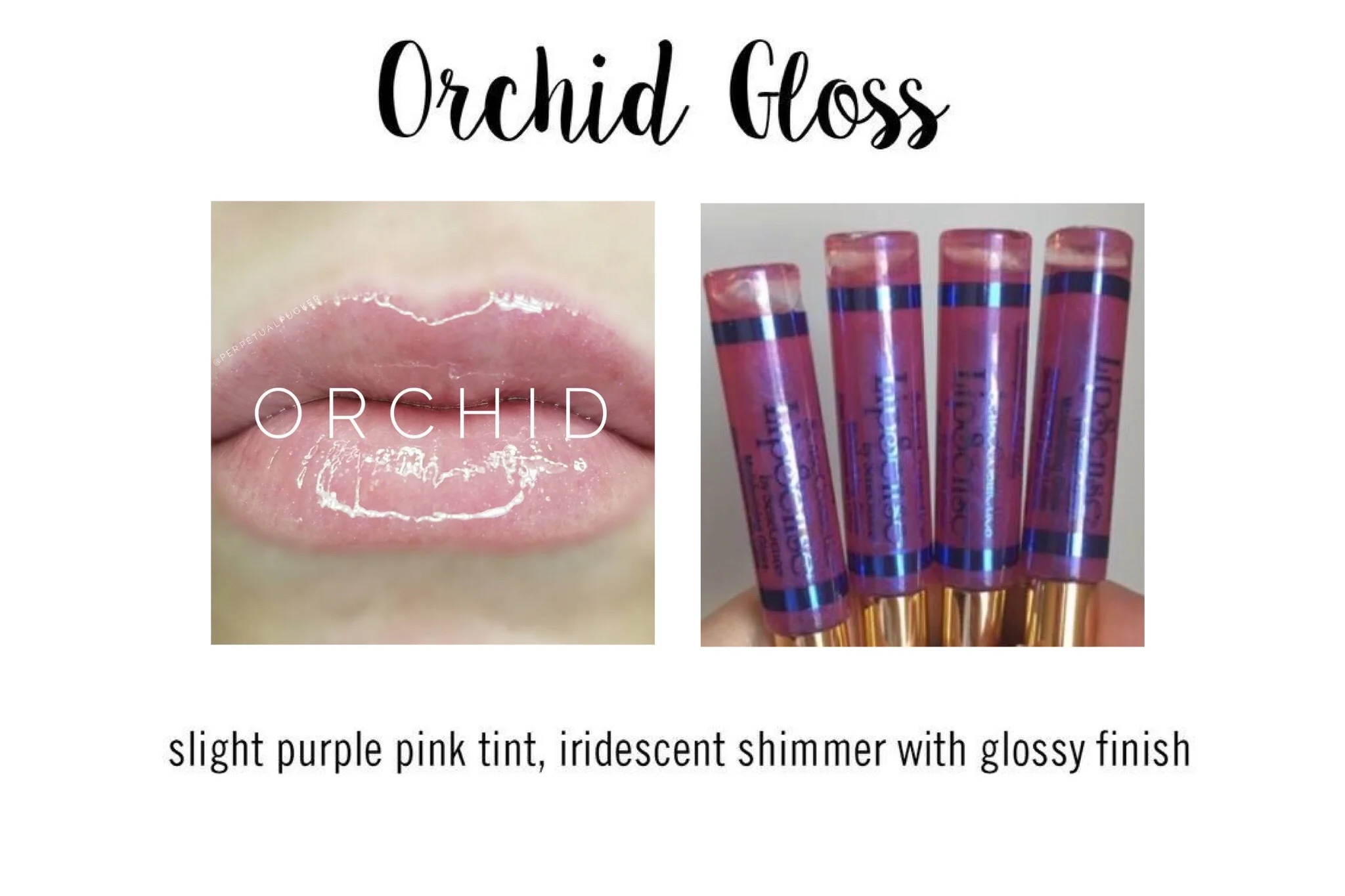 Orchid Gloss