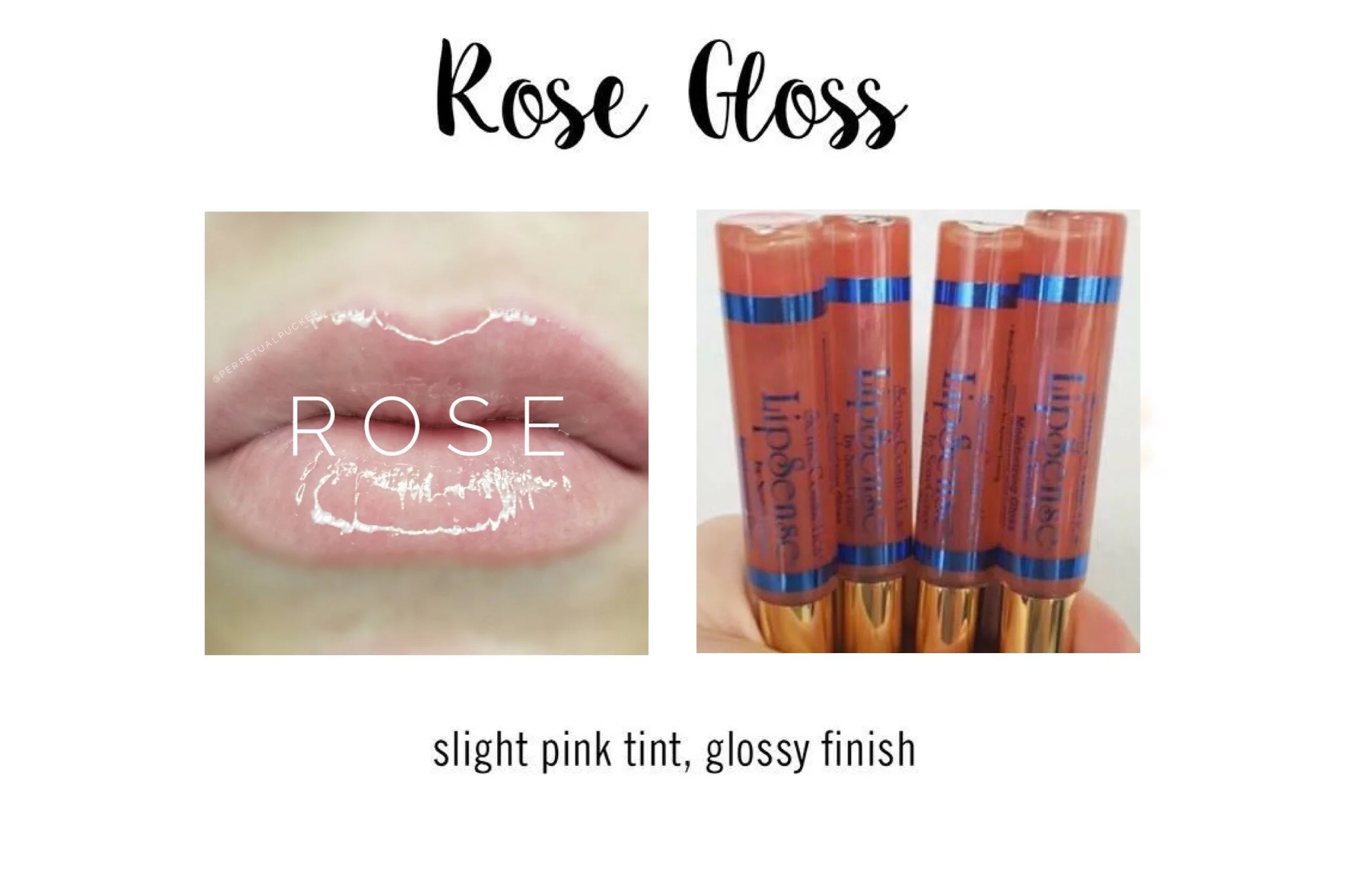Rose Gloss