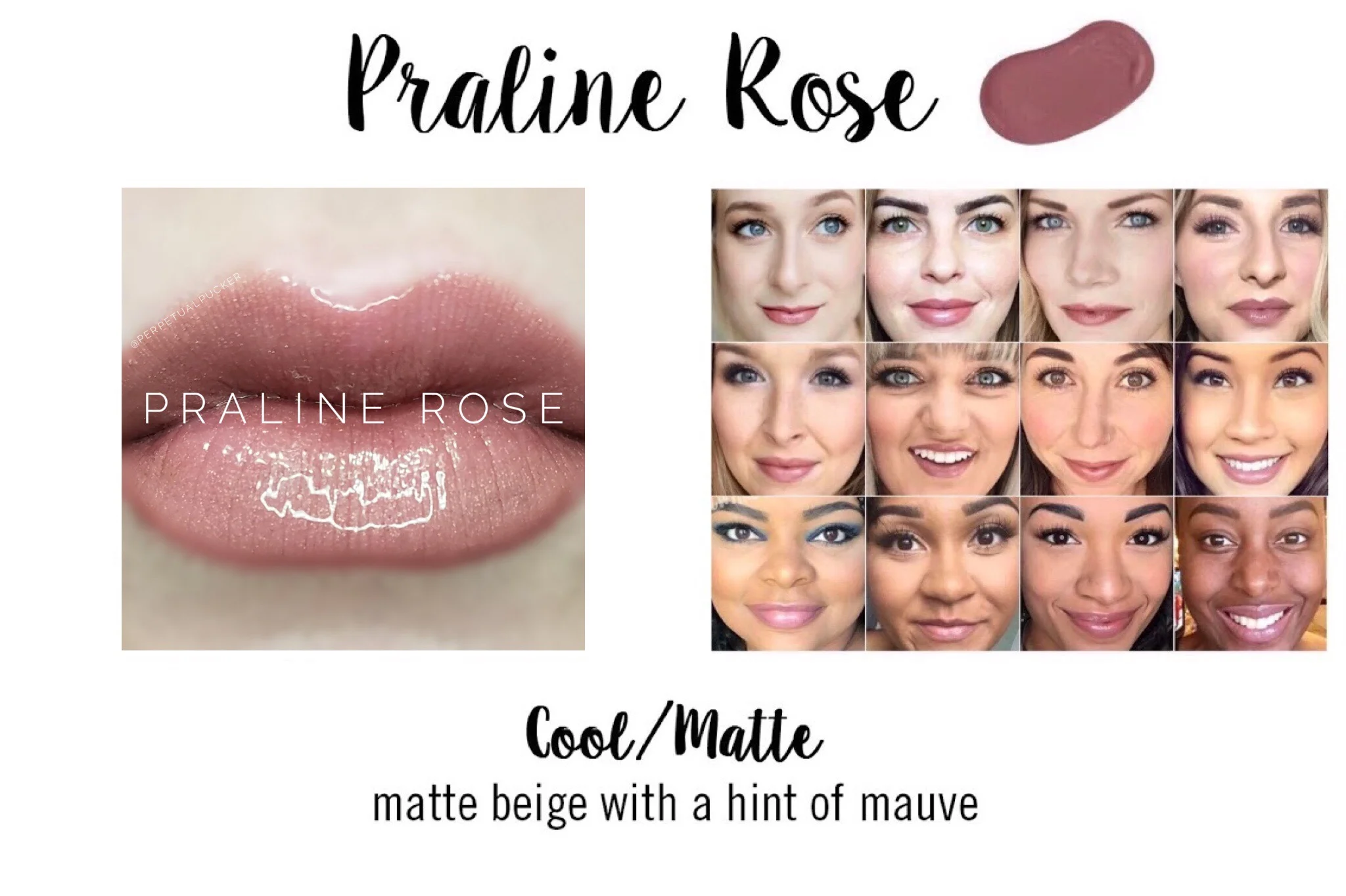Praline Rose