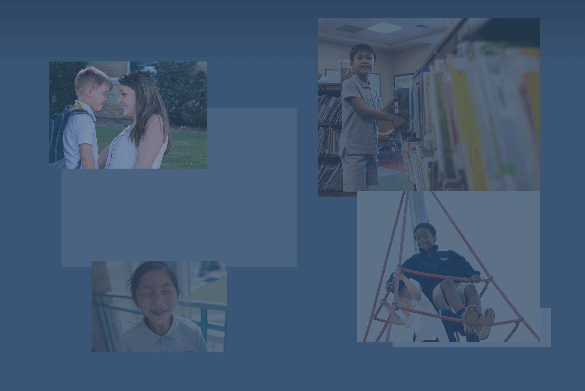 Homepage_IPS_background2_Update_2.png