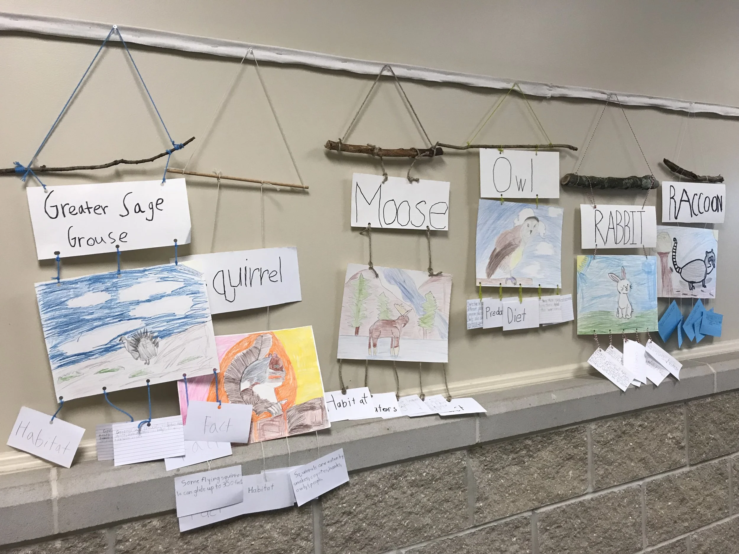 The Importance of School Projects