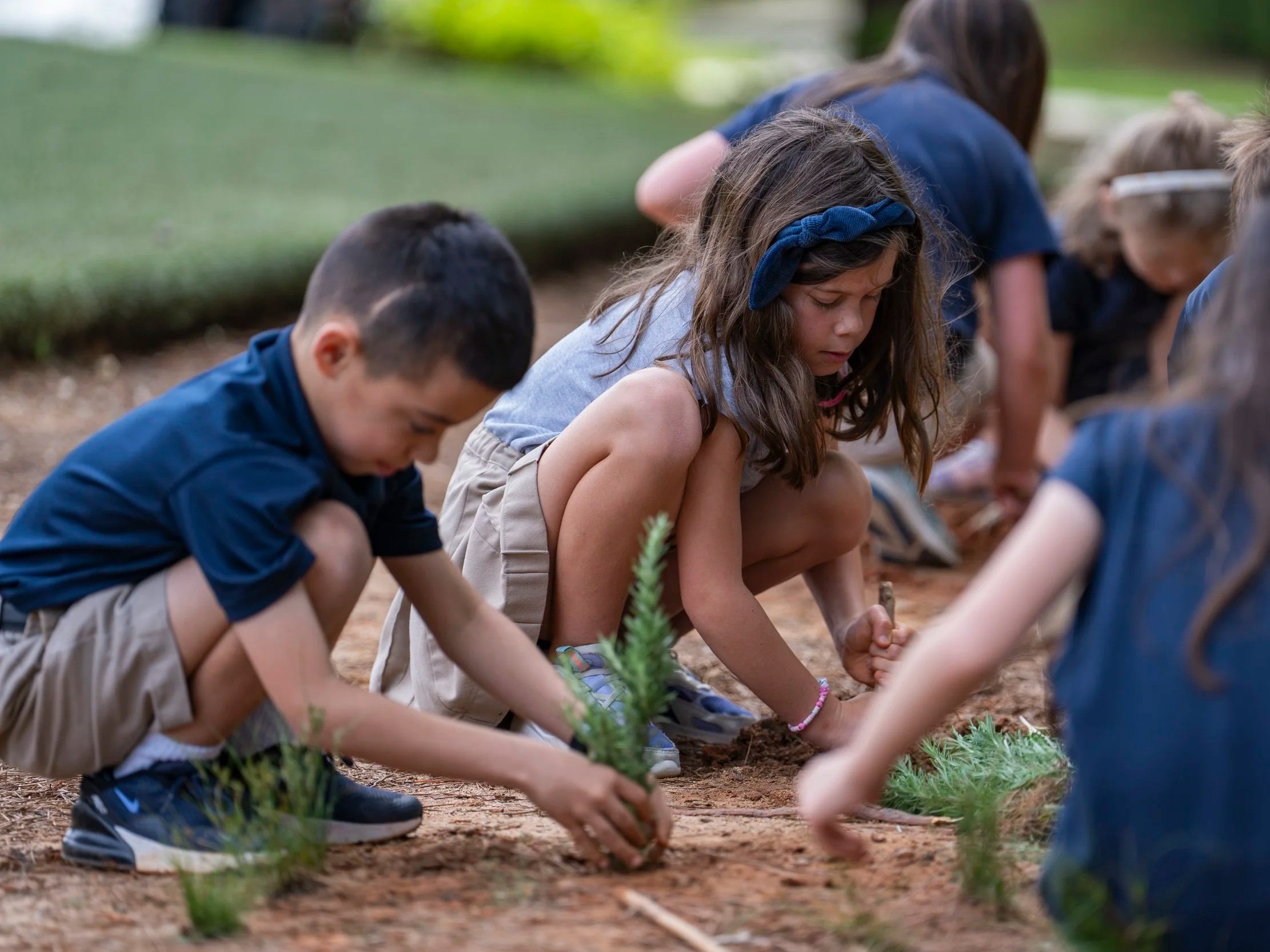 The Soil of a Heart at Rest
