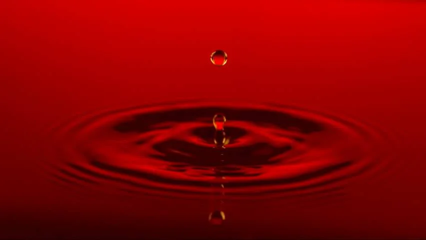 27336943_1784992754858123_8112291737910860874_n.jpg
