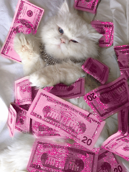 catmoney.gif