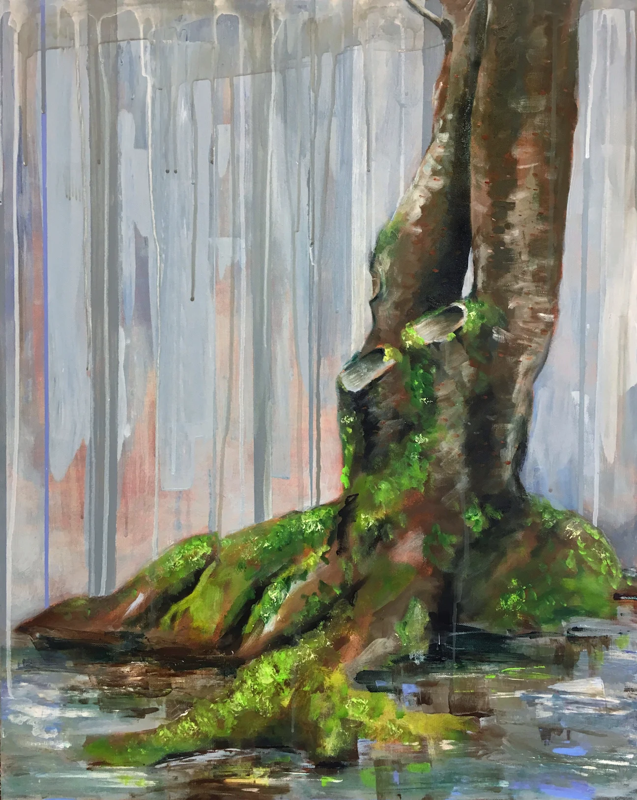 Temperate Rainforest