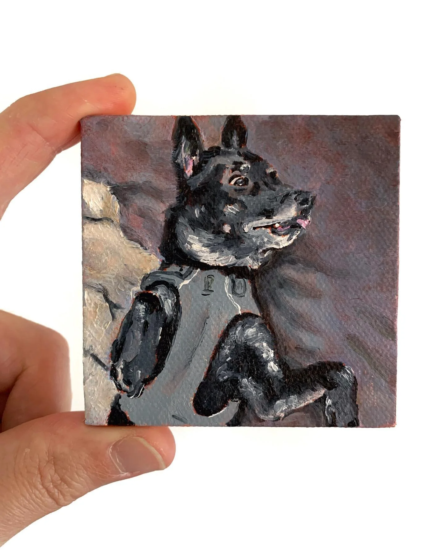This patron loved her tiny pet portrait of Gary here so much that she commissioned a second one for her son! I tried my best to reproduce the first version as closely as possible. Swipe for the side-by-side! And check out my website (link in bio) for