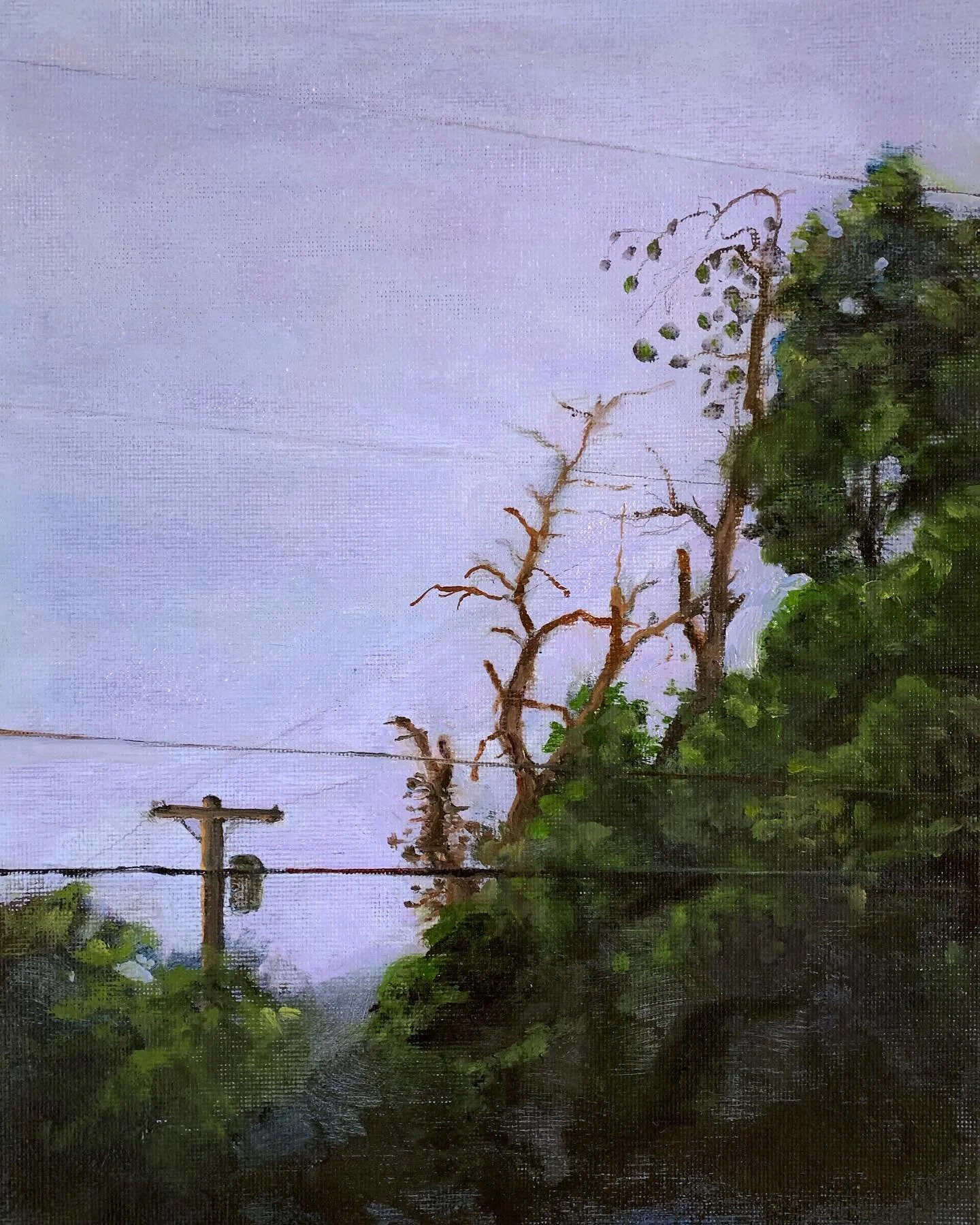 To capture the elusive visual effect of that midsummer evening twilight sky, I took advantage of the texture of the canvas as a way to blend colors: I started with a purple base layer in acrylic, then used scumbling with a dry brush to apply a subtle