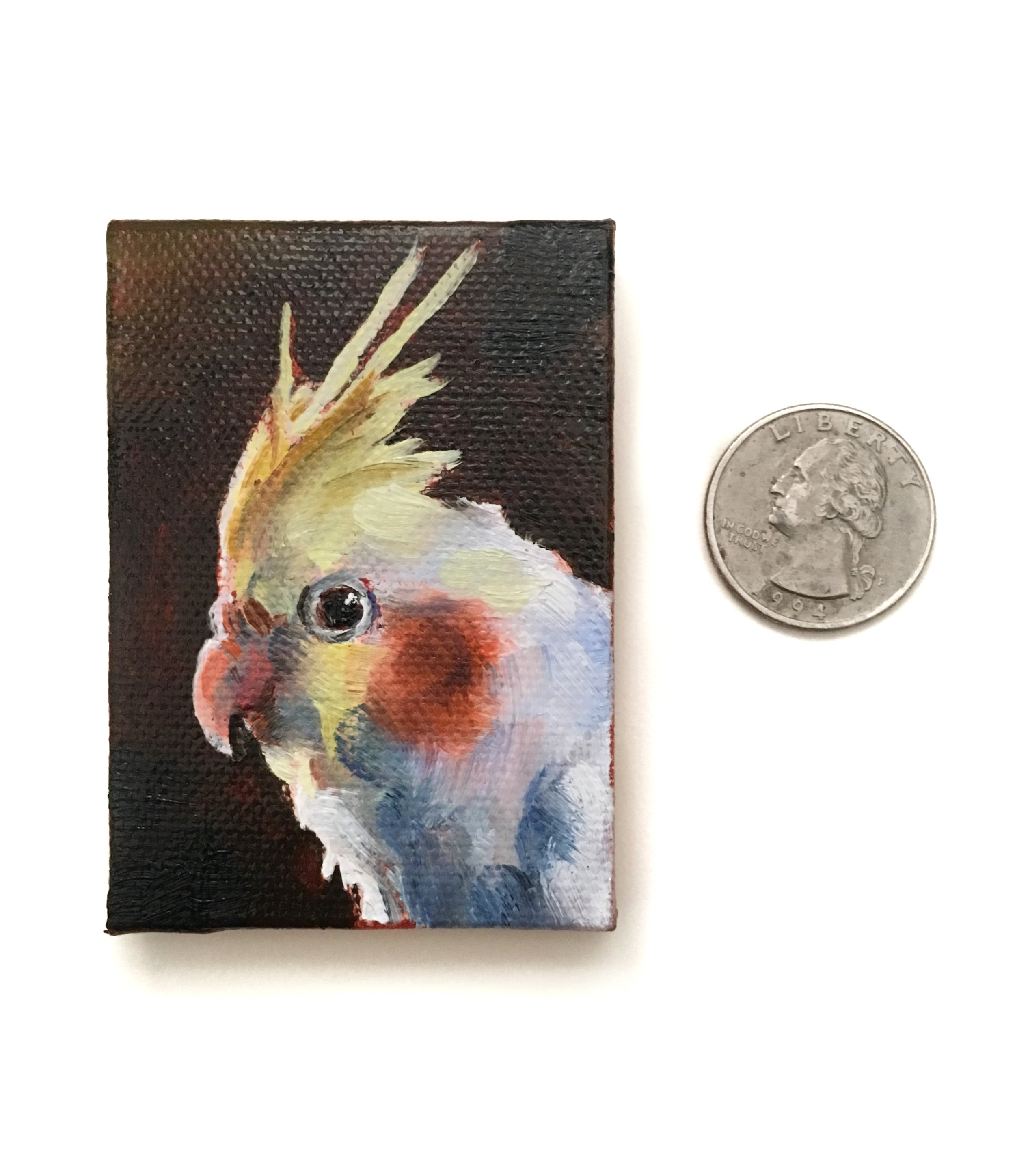 tinycockatiel.jpg