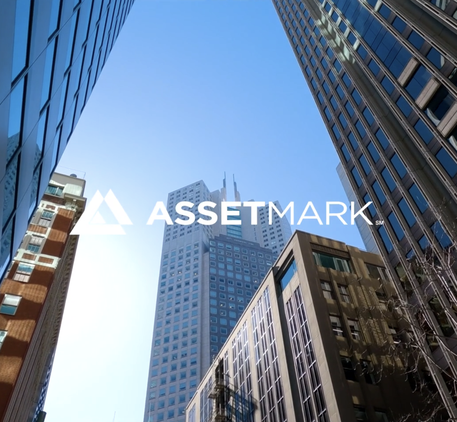 Assetmark.png