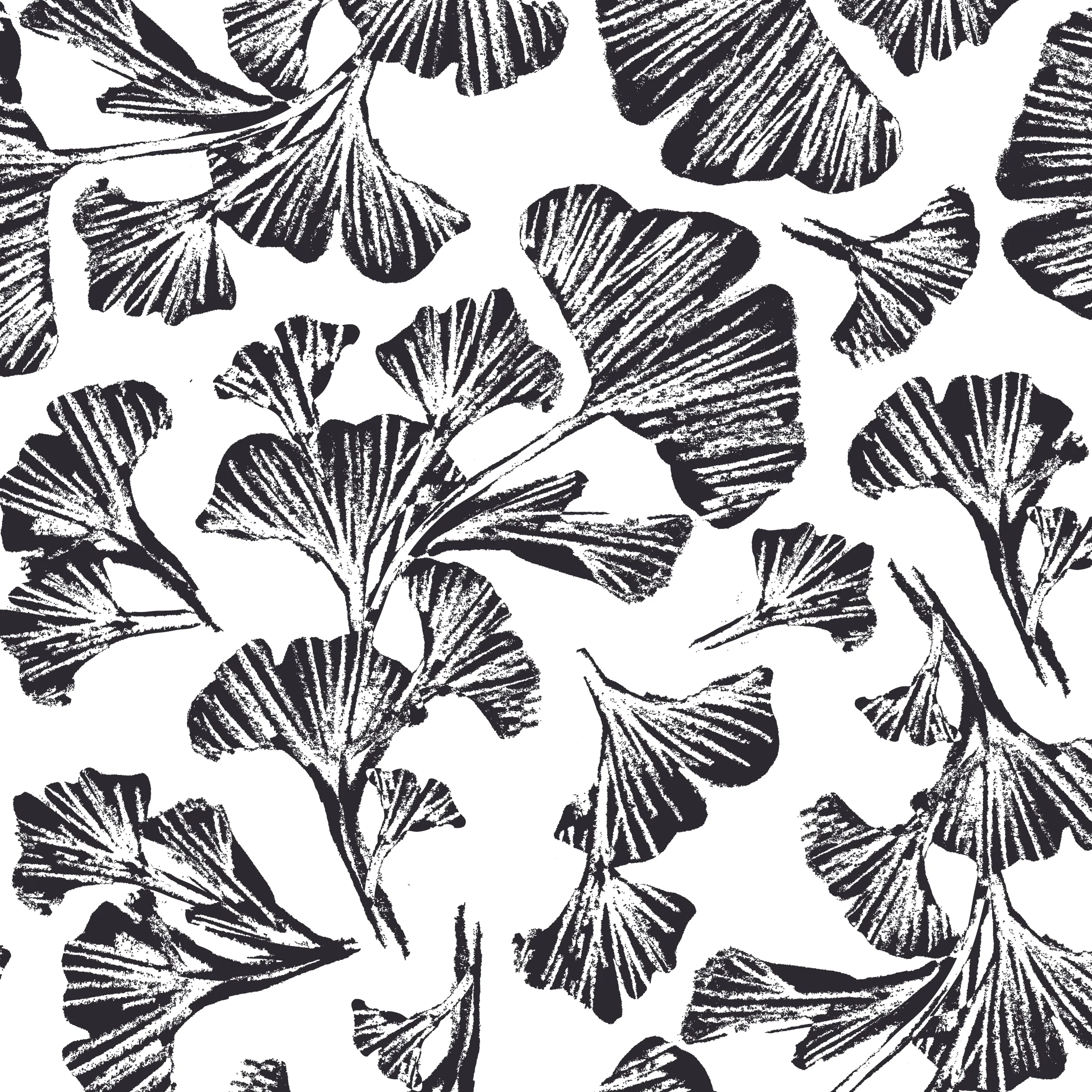 Ginkgo