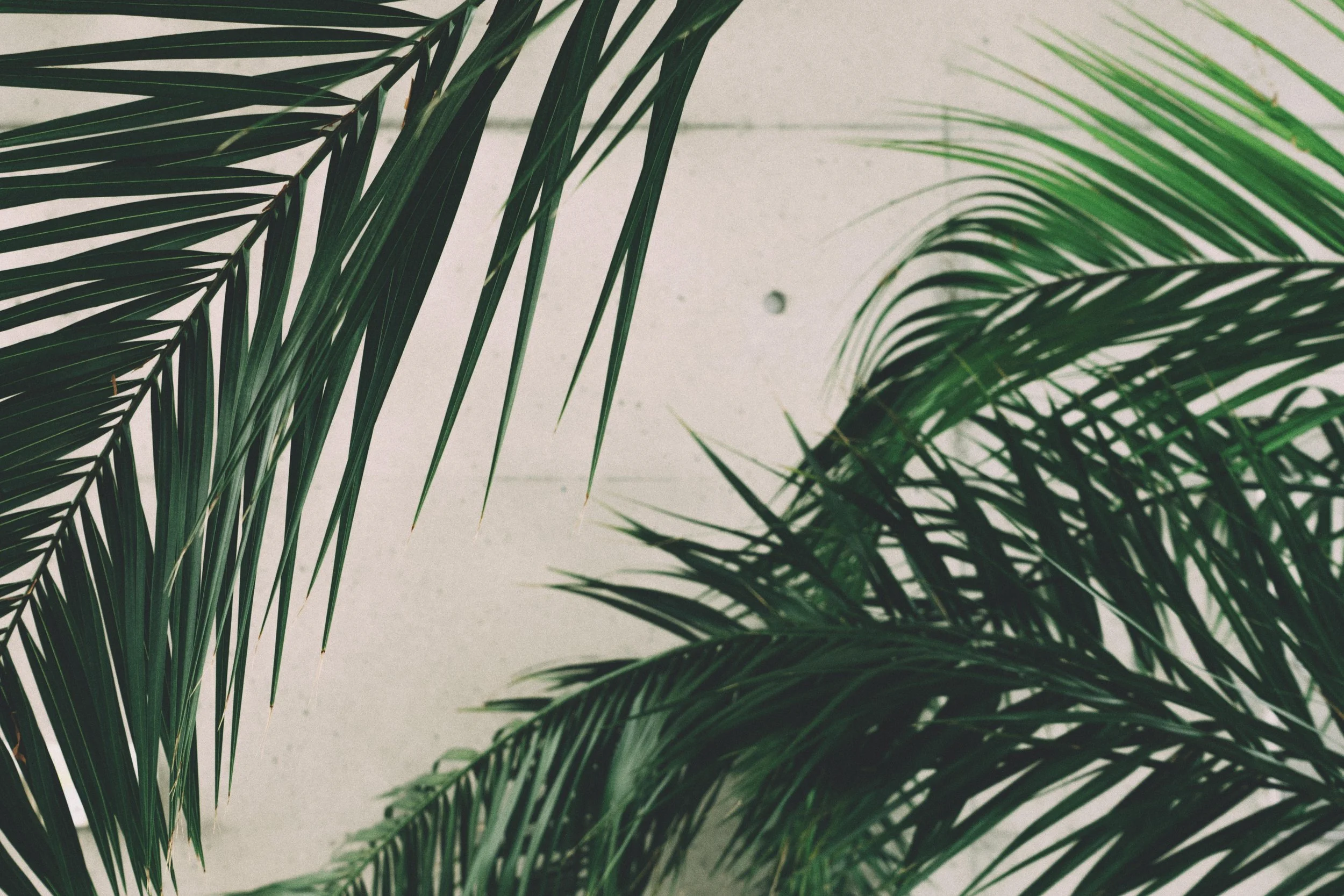 close-up-concrete-green-212937.jpg