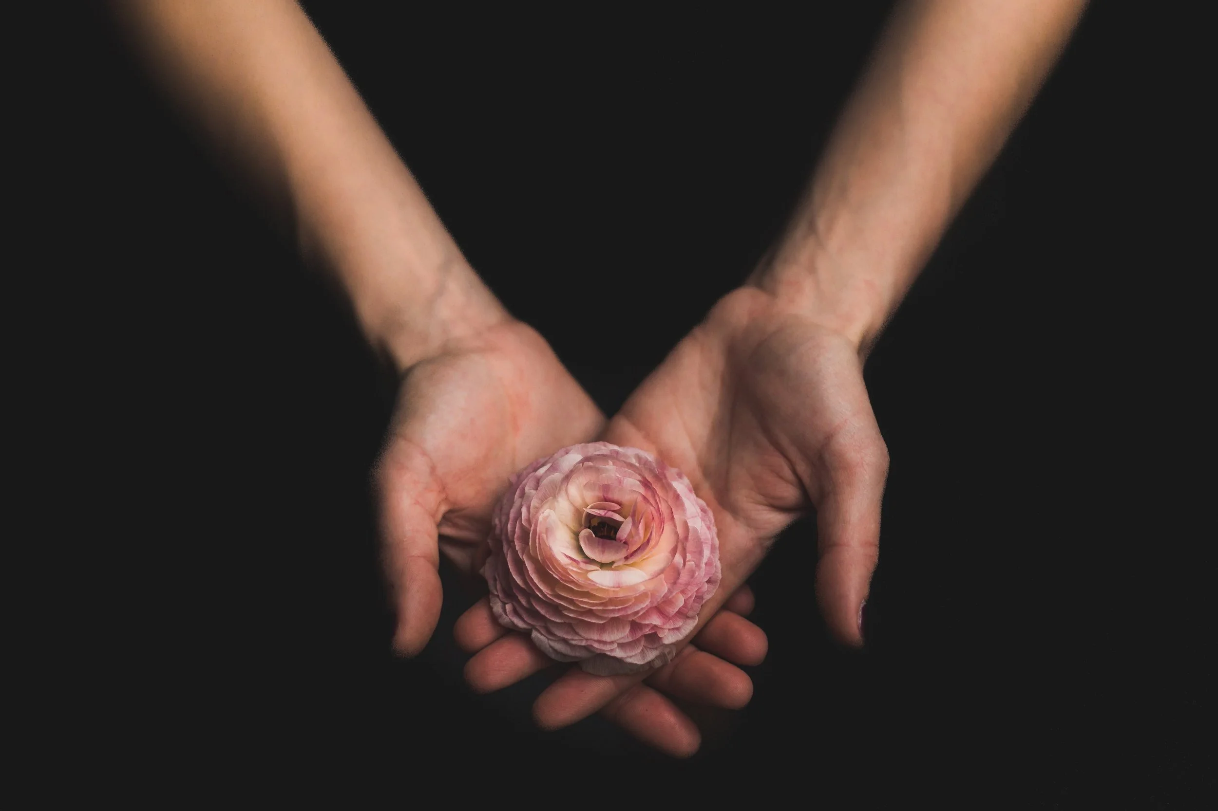 woman-holding-flower_4460x4460.jpg